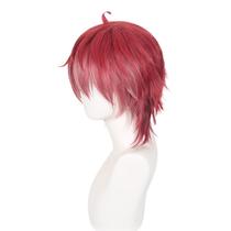 Peruca de cosplay Diaboliks Lovers Sakamakis Ayatos 35 cm sintética Peruca de cosplay Diaboliks Lovers Sakamakis Ayatos 35 cm sintética