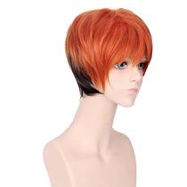 Peruca de cosplay Zootopias Nicks Wildes Cabelo Sintético 30cm