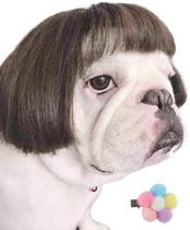 Peruca para cães Fishboy Funny para cães pequenos, médios e grandes com flor