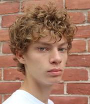 Peruca Wiwige Short Curly Loira Resistente ao Calor Sintética Masculina Peruca Wiwige Short Curly Loira Resistente ao Calor Sintética Masculina