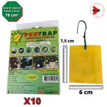 Pestrap Amarela Pega Fungus Gnats Mod Ret Pq 7,5x6 10 un