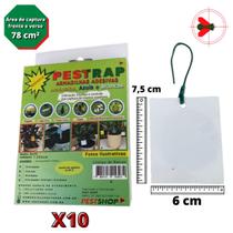 Pestrap Branca Pega Fungus Gnats Mod Ret Pq 7,5x6 10 un