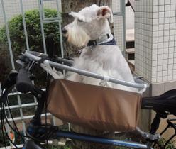 Pet Basket - Cesto de Transporte para Cães - Zincado, cesto bege, engate rápido