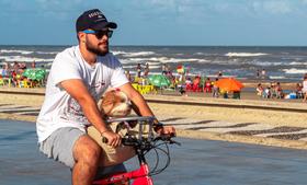 Pet-Basket Zincado Cesto Cinza Simples Para Pet Em Bicicleta