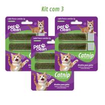 Pet Clean Catnip Erva para Gatos Kit com 3 Atrativo para Gatinhos