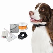 Pet Fence Premier Pet In-Ground para cães pequenos e grandes