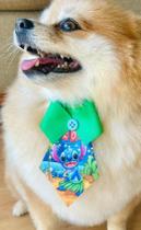 Pet Shop Gravatas para Banho E Tosa Kit com 30 un Cachorro Gato