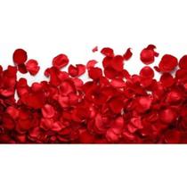 Petalas Com Aroma Sedução Dia Dos Namorados