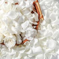 Pétalas de rosa preservadas Eslibin Real Dried Ivory White 45g Pétalas de rosa preservadas Eslibin Real Dried Ivory White 45g