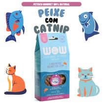 Petisco Gourmet Gato 100% Natural Peixe com Catnip 30g