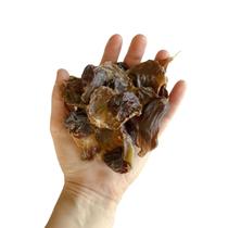 Petisco Natural Desidratado Moela de Frango 100g - LUV Petiscos