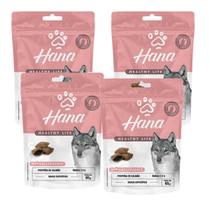 Petisco Snack Hana Antialergico Cachorro Adulto 65g kit 4un