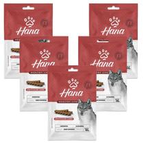 Petisco Snack Hana Articular Para Cachorro 100g kit 5un