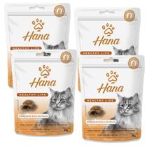 Petisco Snack Hana Gato Adulto Bola de Pelos 60g kit 4un