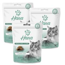 Petisco Snack Hana Gato Adulto Catnip 60g kit 3un