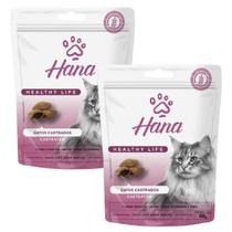 Petisco Snack Hana Gato Castrado Adulto 60g kit 2un