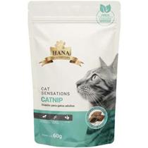 Petisco Snacks Hana Catnip para Gatos Adultos 60 G - 1 UN
