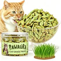 Petiscos para Gatos Pawaura Frango com Catnip Controle de Bolas de Pelo 100 g Petiscos para Gatos Pawaura Frango com Catnip Controle de Bolas de Pelo 100 g
