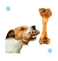 Pets - osso femur suino defumado 18cm