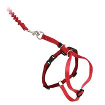 PetSafe Come With Me Kitty Harness e Bungee Leash, Harness for Cats, Large, Red/Cranberry