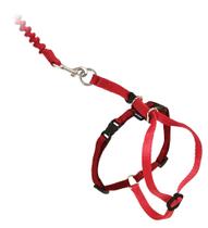 PetSafe Come With Me Kitty Harness e Bungee Leash, Harness for Cats, Large, Red/Cranberry