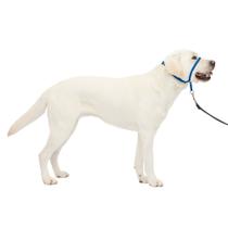 PetSafe Gentle Leader Headcollar, No-Pull Dog Collar Perfect for Leash & Harness Training impede animais de puxar e engasgar em caminhadas Grande, Azul Real