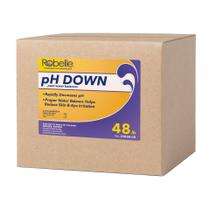 pH Down Robelle Premium 21,77 kg Bissulfato de sódio concentrado pH Down Robelle Premium 21,77 kg Bissulfato de sódio concentrado