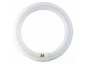 Philips 391177 FC12T9 Lâmpada Tubular Fluorescente Branco Frio Plus Philips 391177 FC12T9 Lâmpada Tubular Fluorescente Branco Frio Plus