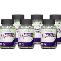 Pholia Negra 500Mg 60 Cáps Kit Com 6 - World Ecommerce