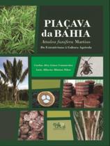 Piaçava da bahia (attalea funifera martius) Piaçava da bahia (attalea funifera martius)