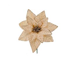 Pick Bico de Papagaio de Veludo Champanhe 15cm - Yangzi