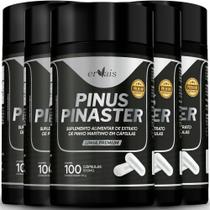 Picnogen Pinus Pinaster Procianidinas Extrato 5 Frascos 500 cáps