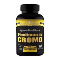 Picolinato de Cromo 280mg Nutry Power 120 cápsulas - Apisnutri