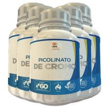 Picolinato De Cromo 500Mg 60 Cápsulas Kit Com 5 Potes