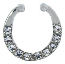 Piercing Nariz Argola Aço Cirurgico Septo Helix Tragus Prata