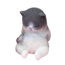 Piggy Bank Sleeping Cat para crianças, moeda, caixa de dinheiro, plástico