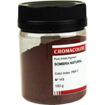Pigmento Artístico Cromacolor 100g 113 Sombra Natural