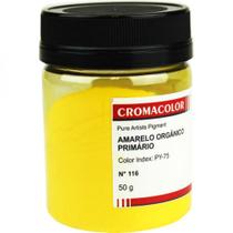 Pigmento Artístico Cromacolor 50g 116 Amarelo Orgânico Primário
