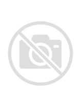 Pilha Zinco Palito AAA 1,5V C/4 Unidades Rayovac