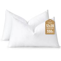 Pillow Insert Artscope Synthetic Down 30x50cm, conjunto de 2