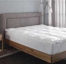 Pillow Top Queen Buddy Vision Fill Gold - Buddemeyer