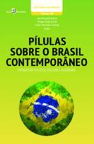 Pílulas sobre o Brasil Contemporâneo: Ensaios de Política, Cultura e Sociedade