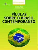 Pílulas sobre o brasil contemporâneo - vol. 1