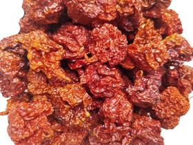 Pimenta Carolina Reaper Desidratada