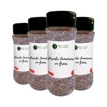 Pimenta Jamaica Desidratada em Grãos 100% Natural Pote Com Dosador Kit 4 70g