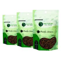 Pimenta Jamaica em Grãos Pouch Refil 50g - 3 Pimenta Jamaica em Grãos Pouch Refil 50g - 3