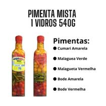 Pimenta mista com 5 sortidas 540g