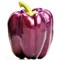 Pimentao Gracepurple Hibrido - 94mg / 15 Sementes