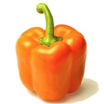 Pimentão Holandino Hibrido - 95mg / 15 Sementes