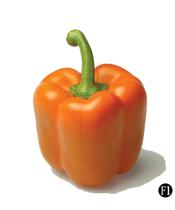 Pimentão Holandino Hibrido F1 - 98mg = 15 Sementes